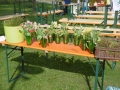 P1000180
