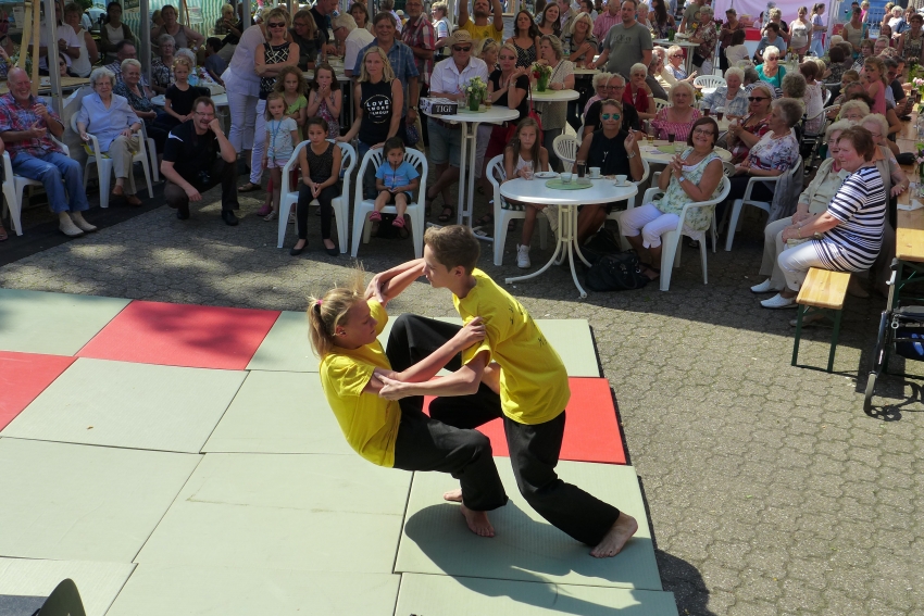 Dorffest 2015 Sonntag  Nachmittag_238